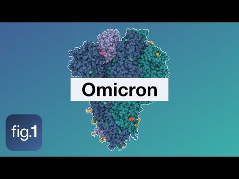 Omicron explained, December 2021