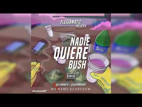 Fleivamatic - Nadie Quiere Bush | Audio Oficial