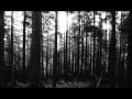 Scattered Trees - Five Minutes 