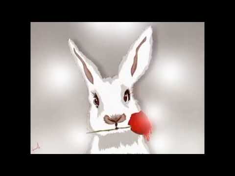 maf chai ( bd rap song ) background music