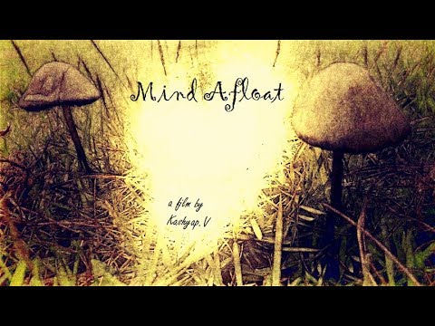 Mind Afloat