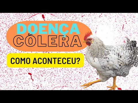 , title : 'Cólera em galinhas , descobri através do canal @SitioSANCAIPI que é semelhante a Cólera...'