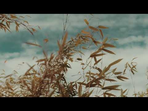 Whistling WIND Ambience |Icy Howling Wind | Sleeping, Relaxing, Studying Background PIANO MUSIC.