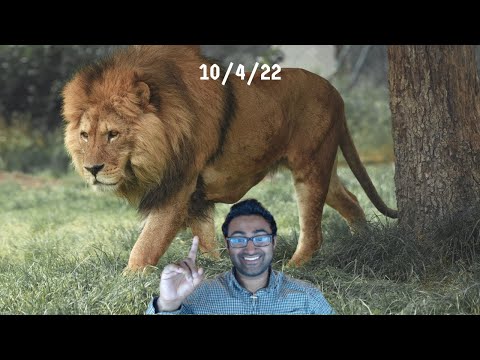 The Lion of God's Daily Diary: 10/4/2022, Judges chapter 10