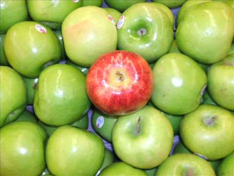 Ish1da - Tha Voice of Tha Outcast