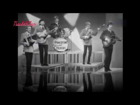 Pinkerton's Assorted Colours - Mirror Mirror (TV appearance)