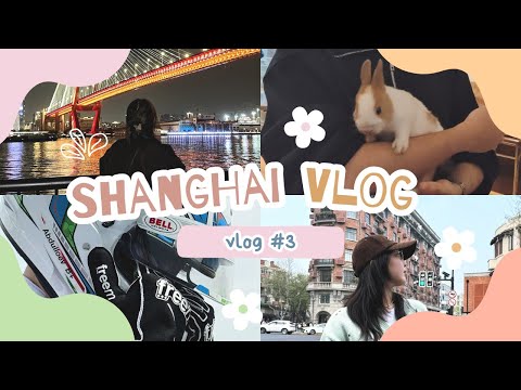 🇨🇳 Китайский влог/Шанхай 3:картинг соревнования,кафе с кроликами,огромный Старбакс и другое🏎️🐇