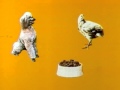 Classic Sesame Street Animation Dog And Hen