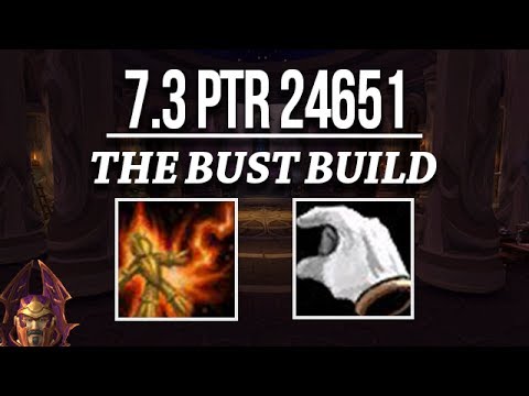 THE BUST BUILD | T21 DPS Testing | PTR 7.3 24651