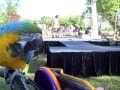 Bridgeland Halloween Festival Johnny Peers And Muttville Dog Comics Part 1