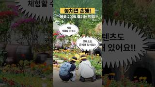 봄나들이 추천???? 고양국제꽃박람회 ????