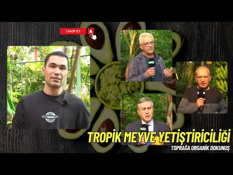 Sera ve Tropik Meyvelerde Bakım ve Besleme - Toprağa Organik Dokunuş