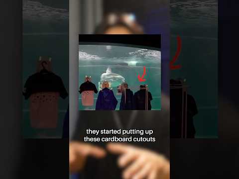 He Missed Seeing Humans 😭 #shorts