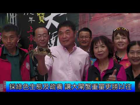 1121002 112年度苗栗縣優質大閘蟹上市發表記者會(影音新聞)