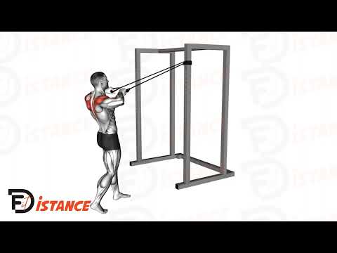 Exercice Rowing à l'élastique