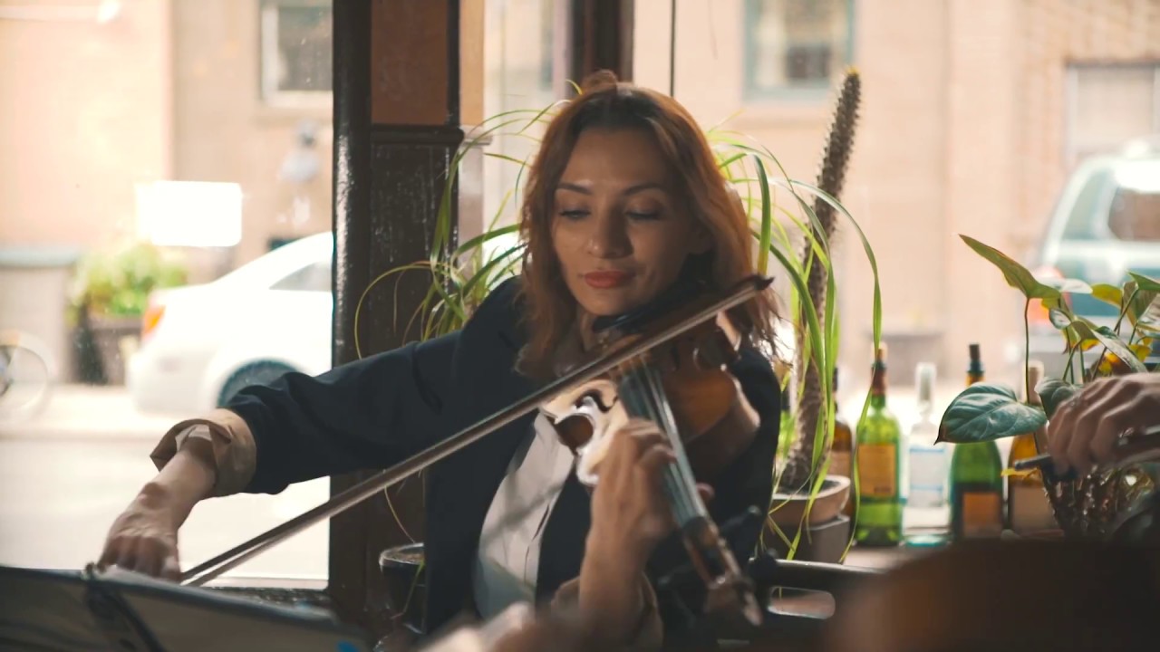 Promotional video thumbnail 8 for Stellar Strings