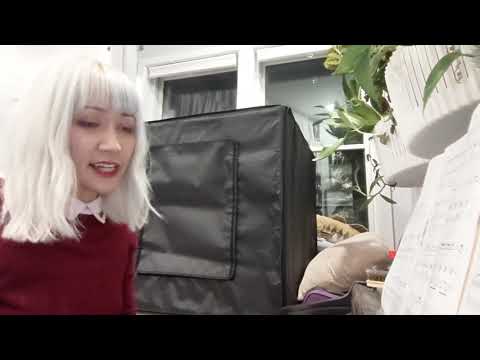 How Sweet to be an Idiot by Neil Innes, who died today