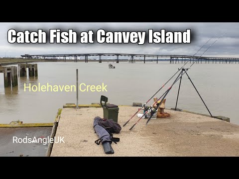 Catch Fish at Canvey Island: HOLEHAVEN CREEK