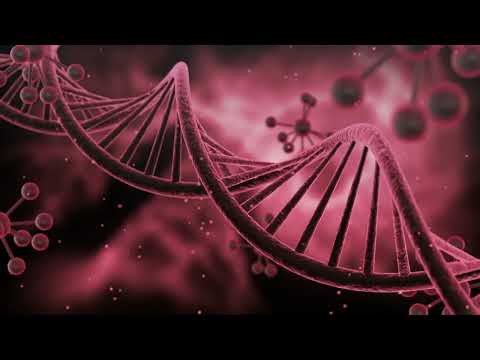 Nolan & Markus Saarländer - Flames (Framewerk Intro Mix)