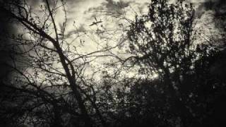 So What I Lied  (With Lyrics)  - Sick Puppies