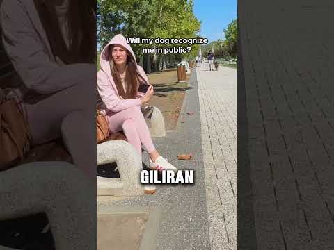 🐶❤️ Bagaimana anjing-anjing langsung mengenali pemiliknya? #shortsvideo #facts #viralvideo