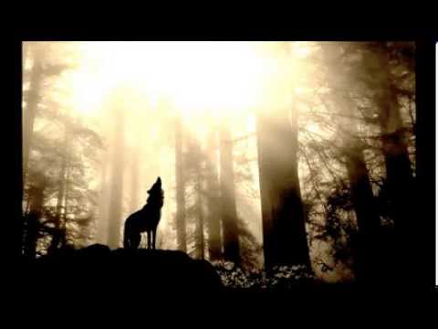 Knife Party vs  Zedd   Clarity LRAD (Léon Mashup)