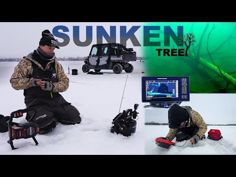 Ice Fishing a 20-Foot Sunken Tree - Catch & Cook