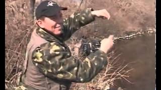 Ловля на резинку плотвы весной
