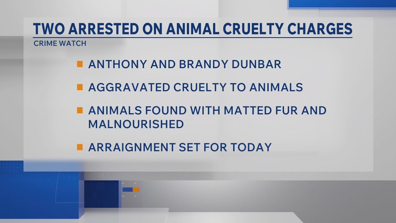 Chief Deputy: 2 arrested in Unicoi Co. after dogs found malnourished, covered in feces