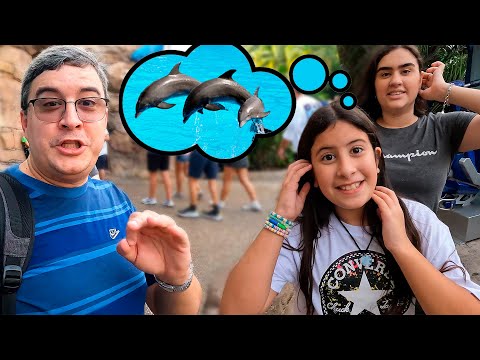 Um dia inteiro no SeaWorld Orlando com a nossa sobrinha.