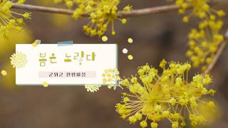 군위군 한밤마을