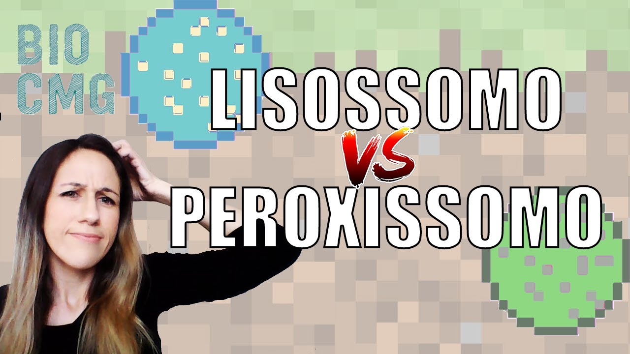 Lisossomo e peroxissomo - aprenda a diferença de uma vez por todas!