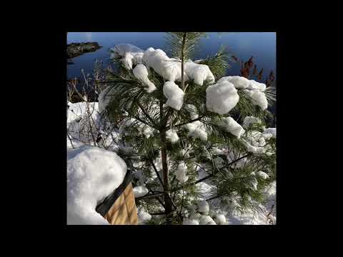 Bethany United Church Sunday Service 28 December 2025