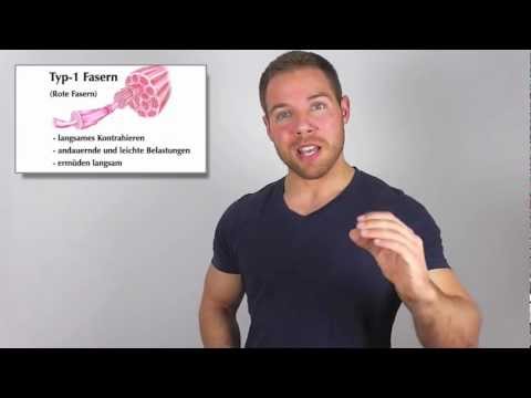 Muskelfasertypen - Das Geheimnis deiner Muskeln