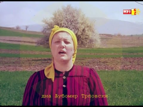 Петранка Костадинова - Абер си Јане получил / Petranka Kostadinovska - Aber si Jane polučil