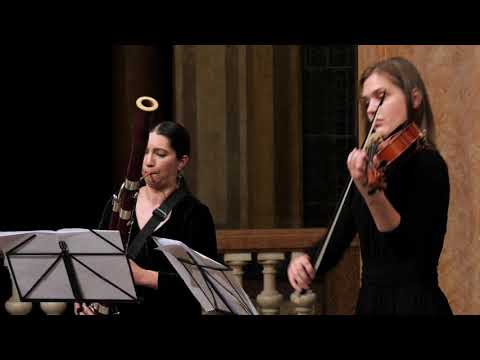 Johann Sebastian Bach - Concerto for oboe, strings and basso continuo in D minor, BWV 1059