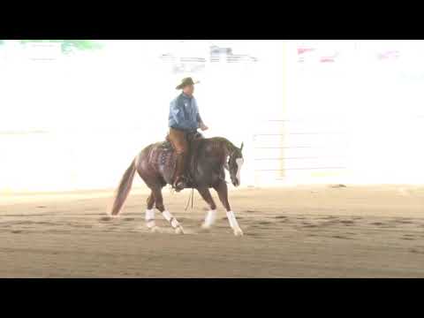 190525 Open Derby Sam Schaffhauser on Little Brother Gun