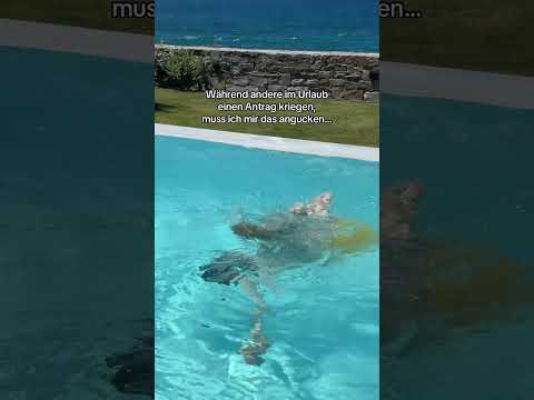 Andere kriegen im Urlaub einen Antrag…