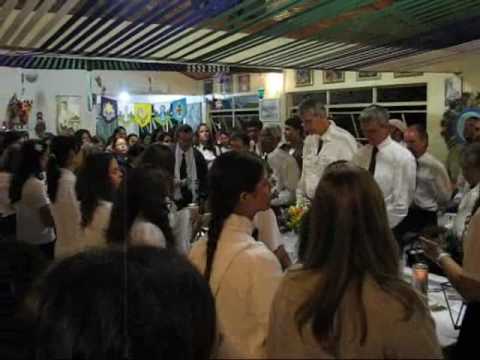 Brilho do Sol - Eu Vivo na Floresta