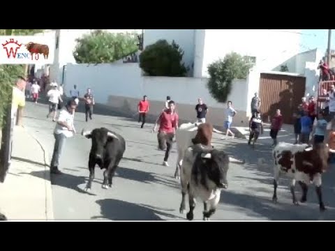 EMOCIONANTE ENCIERRO DE BOROX 2014