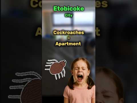 6 Quick Tips to Prepare for a Roach Treatment #pestcontrol #etobicokepest