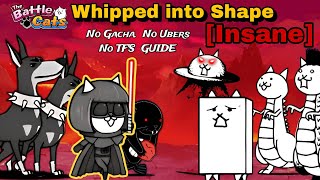Beating Dom Awakens + TF with EASE | No Gacha (Battle Cats)