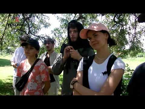 what you didnt know about Nyero Rock paintings #tour