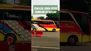Download lagu MELANGKAH GONTAY BUS TUNGGAL DARA PUTRA, ADA APA⁉️#tunggaldaraputra #tunggaldara #bumel #dolancuan mp3