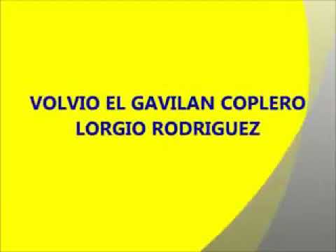 VOLVIÓ EL GAVILÁN COPLERO - LORGIO RODRÍGUEZ