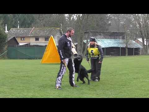 Svod NO 2017 - Caro von Schörner´s Schmiede