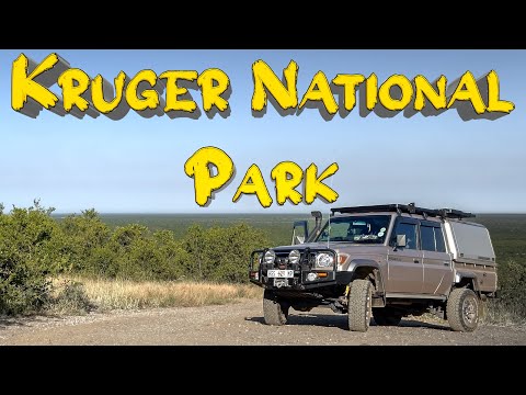 KRUGER NATIONAL PARK | TSENDZE RUSTIC CAMPSITE APRIL 2023