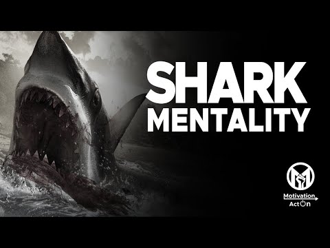SHARK MENTALITY - Beast Motivation