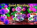 Good Morning Video Good Morning Status Good Morning Song Good Morning Photo Good Morning