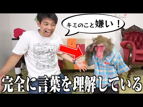 お猿さんに「嫌い」と発言するととんでもないことになります…